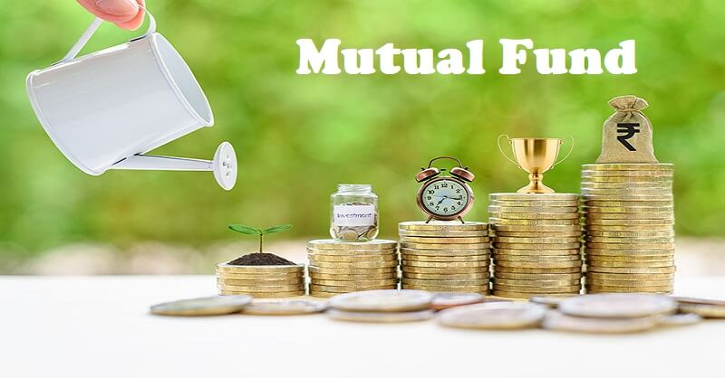 5 Best Multicap Mutual Fund
