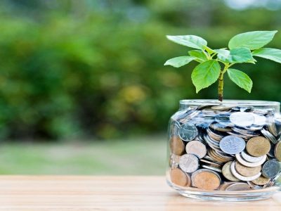Best Bluechip Mutual Fund | तब्बल ६९ टक्के रिटर्न देणारा टॉप रेटेड ब्लूचिप म्युच्युअल फंड | फायद्याची बातमी वाचा