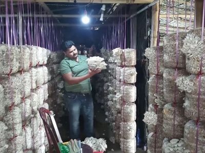 Business Idea | 50 हजारांची गुंतवणूक | 5 लाख पर्यंत कमाई | सरकारकडून 40 टक्के सबसिडी
