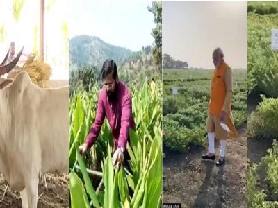 नुकसानग्रस्त शेतकरी राहिला बाजूला, मुख्यमंत्री गणपती, दहीहंडी, दिवाळी भेटीनंतर स्वतःच्या शेतात मुक्कामी, विशेष फोटोसेशनही