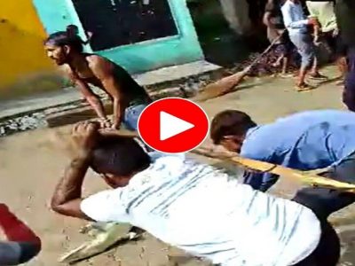 Viral Video | तलावातून बाहेर पडून मगर थेट गावातील शाळेत घुसली, गावकऱ्यांचा जोरदार हल्लाबोल, व्हिडीओ प्रचंड व्हायरल