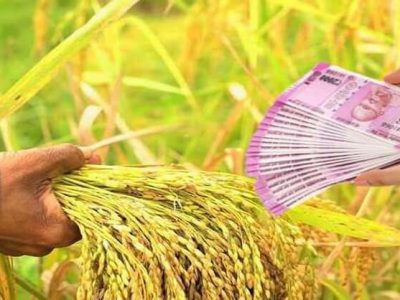 शेतकऱ्यांना दिलासा | पिक कर्ज वसुलीस दिली 31 जुलैपर्यंत मुदत वाढ