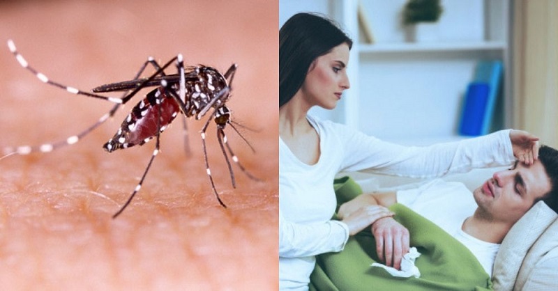 Dengue fever symptoms in Marath