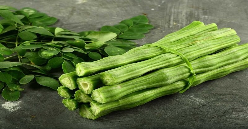 Drum stick Benefits