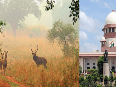 Eco Friendly Order | राष्ट्रीय उद्याने आणि अभयारण्यात खाणकाम बंद करा | सुप्रीम कोर्टाचा महत्त्वपूर्ण निर्णय
