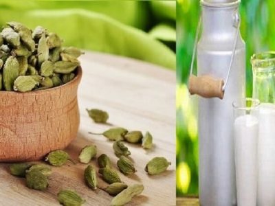 Health first | वेलचीपूड घालून दूध प्या आणि जाणून घ्या त्याचे आरोग्यदायी फायदे