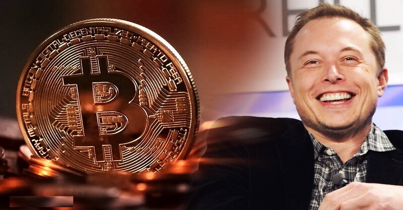 Elon Musk Cryptocurrency Choice