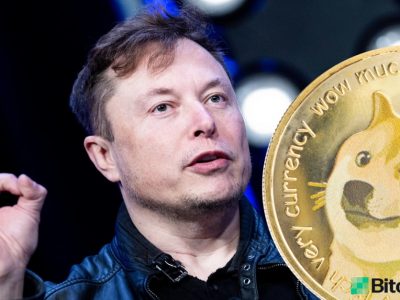 Elon Musk on Dogecoin | एलन मस्क यांनी डिजिटल व्यवहारांसाठी बिटकॉइनपेक्षा डोगेकॉइन उत्तम असं का म्हटले? – वाचा सविस्तर
