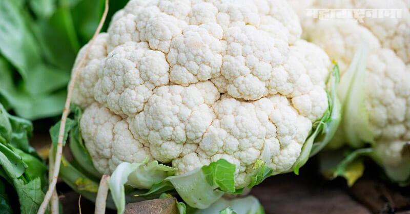 health Benefits of Cauliflower