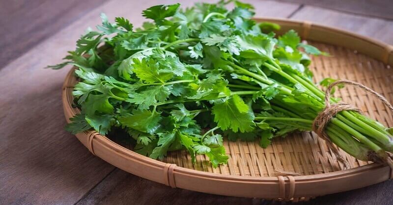 Health benefits of Coriander