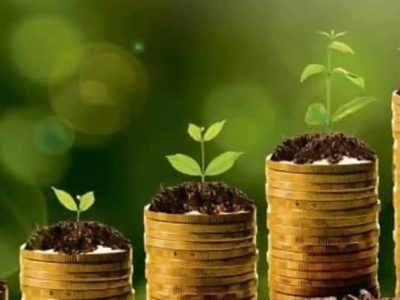 IDFC Sterling Value Fund | या फंडाने 1 वर्षात 64 टक्के परतावा दिला | तुमच्या गुंतवणुकीसाठी योग्य पर्याय