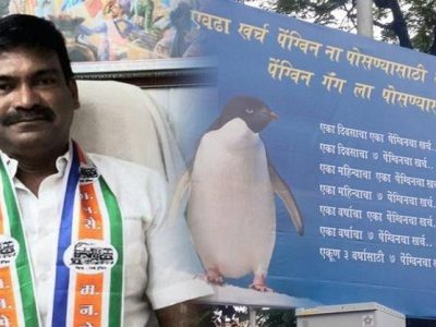 खर्च पेंग्विनला पोसण्यासाठी की पेंग्विन गँगसाठी? | मनसेचा युवासेनेला पोश्टरबाजीतून टोला