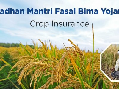 PM Fasal Bima Yojana | पिकाचे नुकसान झाले तरी संरक्षण मिळणार, शेतकऱ्यांना किती पैसे मिळणार पहा
