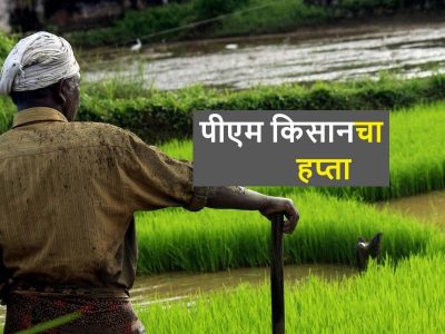 PM Kisan Yojana | खात्यात 20’व्या किसान सम्मान निधी हफ्त्याचे पैसे कधी येणार? जाणून घ्या कसे चेक करावे