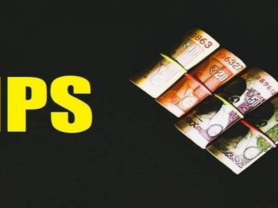 Pension Fund Investment | सरकारी सुरक्षा योजनांमध्ये LIC, HDFC पेन्शन फंडांनी सर्वाधिक रिटर्न दिला