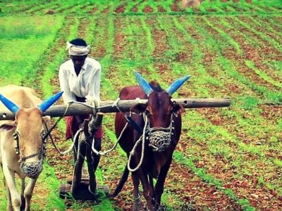 Pradhan Mantri Fasal Bima Yojana | सोप्या भाषेत समजून घ्या पंतप्रधान फसल विमा योजना आणि त्याचे फायदे