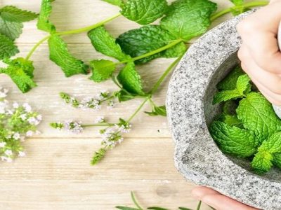 Health First | आहारात पुदिना वापरल्याने होतात आरोग्यदायी फायदे