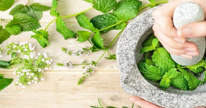 benefits of mint leaves