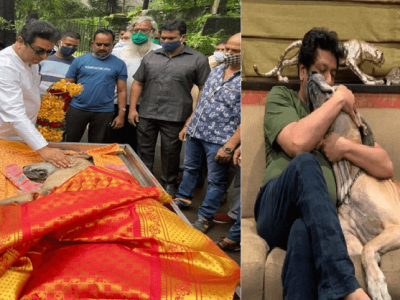राज ठाकरेंच्या कुटुंबातील श्नान ‘जेम्स’चं निधन | घरातील सदस्यप्रमाणेच अखेरचा निरोप दिला