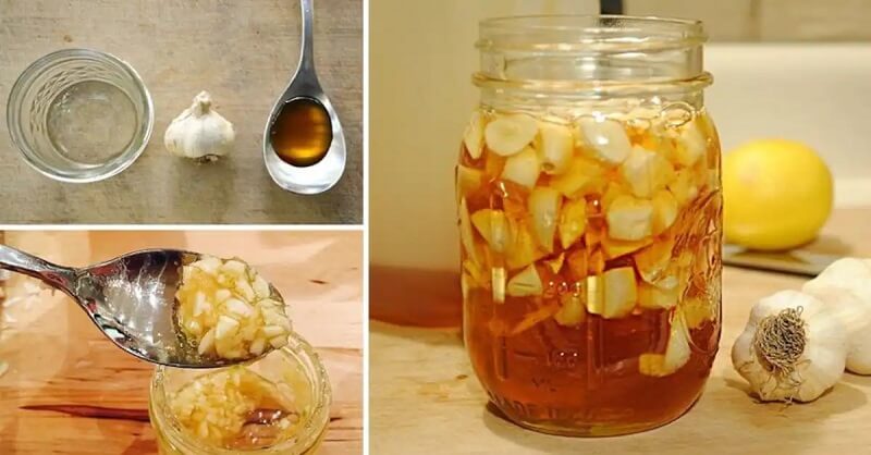 Raw garlic with honey benefits