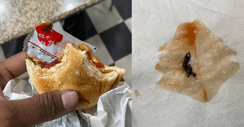 Scorpion found in a burger