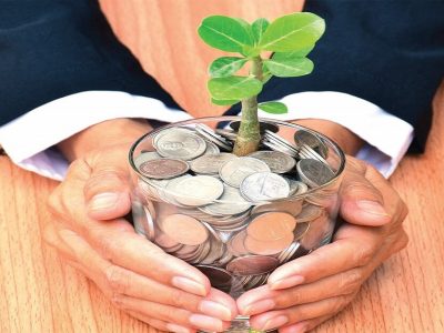Investment Planning | तुम्ही या पॉलिसीमध्ये गुंतवणूक करा | केवळ 4 वर्षात मोठी रक्कम मिळेल