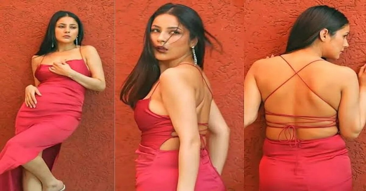 Shehnaaz-Gill-Video-backless-pink-slit-dress