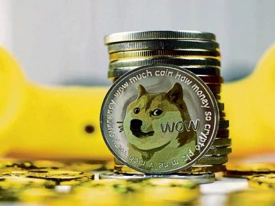 Shiba Inu Crypto | स्वस्त असलेल्या शिबा इनू क्रिप्टोत पैसे गुंतवायचे आहेत? | आधी या क्रिप्टोचे भविष्य वाचा