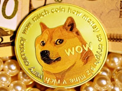 Shiba Inu | क्रिप्टोकरन्सी शिबा इनूच्या किमतीत तब्बल 45% वाढ