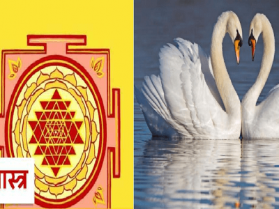 Vastu Tips | बेडरुममध्ये हंसांच्या जोडीचा फोटो लावल्यास होतात अनेक फायदे – नक्की वाचा