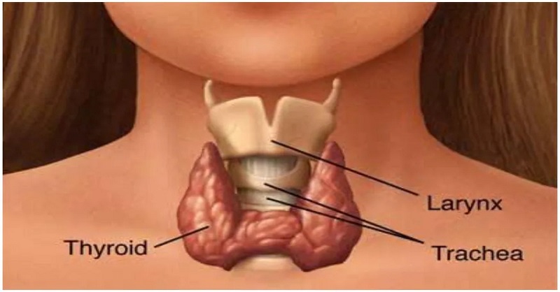 Thyroid symptoms details in Marathi