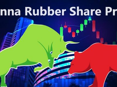 Tinna Rubber Share Price | बाब्बो! 1 लाखावर दिला 61 रुपये परतावा, प्लस फ्री बोनस शेअर्स, रबर कंपनीचा शेअर श्रीमंत करतोय