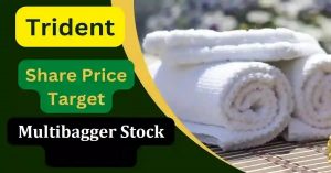 Trident Share Price | तब्बल 5764 टक्के परतावा दिला 29 रुपयाच्या शेअरने, मल्टिबॅगर स्टॉकची खरेदी वाढतेय Trident Share Price | तब्बल 5764 टक्के परतावा दिला 29 रुपयाच्या शेअरने, मल्टिबॅगर स्टॉकची खरेदी वाढतेय