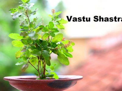 Vastu Tips | वास्तुशास्त्रानुसार घरातील तुळशीजवळ या 4 गोष्टी चुकूनही ठेवू नका, वास्तूतील धनसंपदा निघून जाईल