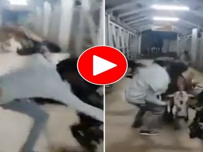 Video Viral | ‘ये दोस्ती हम नहीं तोड़ेंगे’ गाण्यावर ते गायीला चिडवत होते, मग गाईने त्यांचा असा फ़ुटबाँल केला पहा
