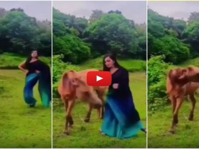 Viral Video | ती घोड्याजवळ डान्स करत शॉर्ट व्हिडिओ रेकॉर्डिंग करू लागली | घोड्याची सटकली | काय केलं बघा