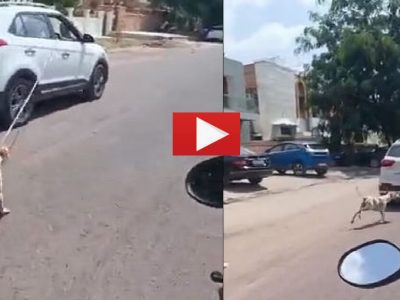 Video Viral | डॉक्टरच्या कृरतेचा व्हिडीओ आला समोर, कुत्र्याला कारला बांधून त्याला निर्दयपणे ओढत रस्त्यावर फिरवलं