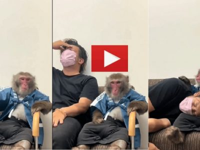 Viral Video | जेव्हा एका व्यक्तीच्या वेदना आणि दुःख माकड समजून घेतं, भावुक करणारा हा व्हायरल व्हिडिओ नक्की पहा