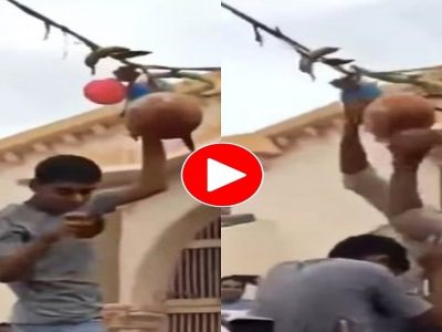 Viral Video | लाख प्रयत्न करूनही मटकी फुटत नव्हती, पुढे नारळ फुटणार पण मटका नाही असंच चित्रं, व्हिडिओ प्रचंड व्हायरल
