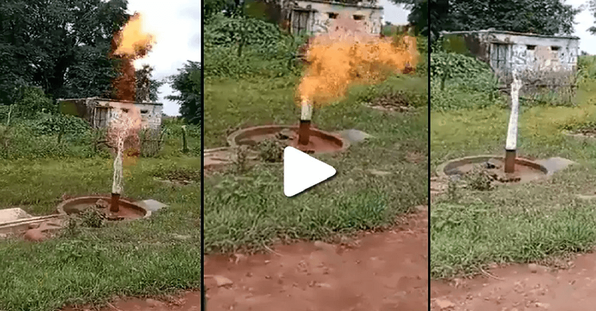 Viral Video