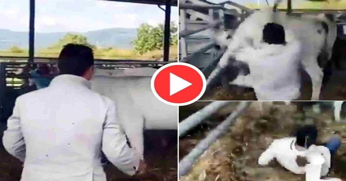 Viral Video