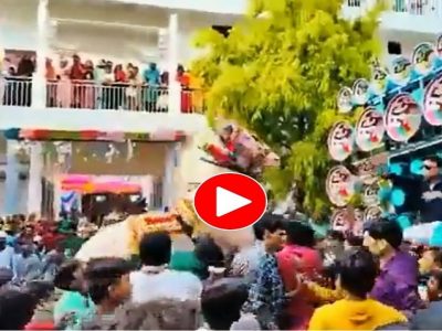 Viral Video | लग्नाच्या वरातीत नाचताना तरुणांची हुल्लडबाजी, वरातीतील घोड्याने संतापून अनेकांना तुडवलं