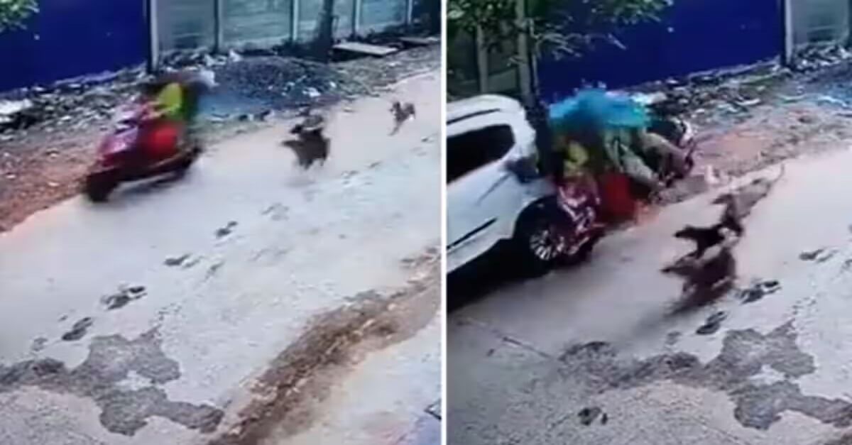 Viral Video