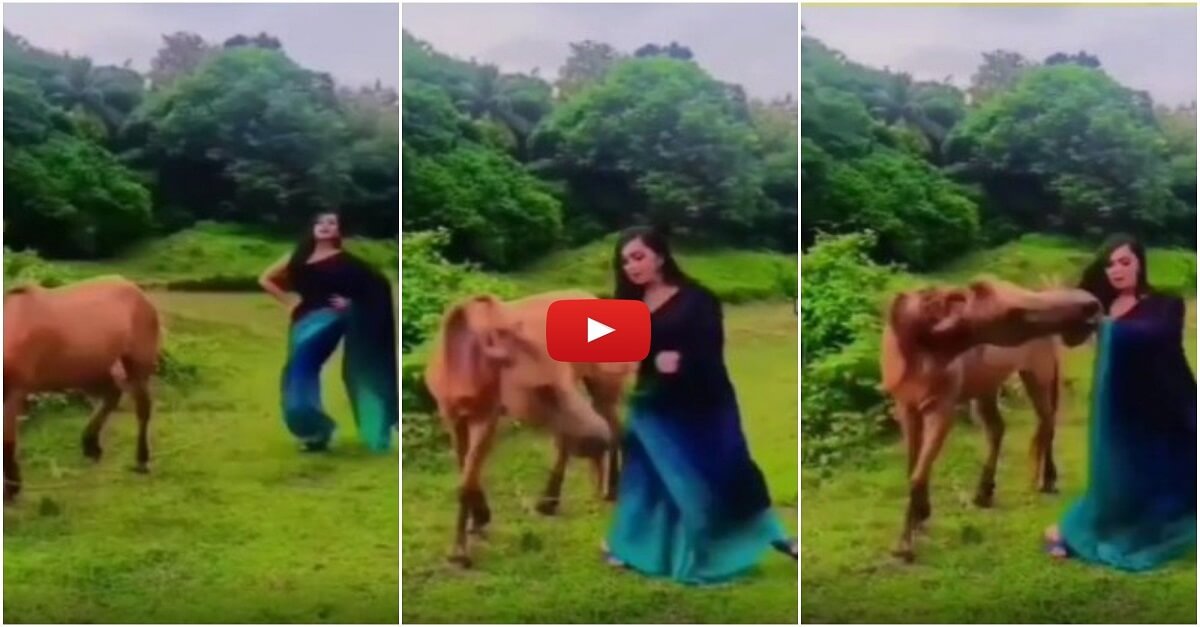 Viral Video