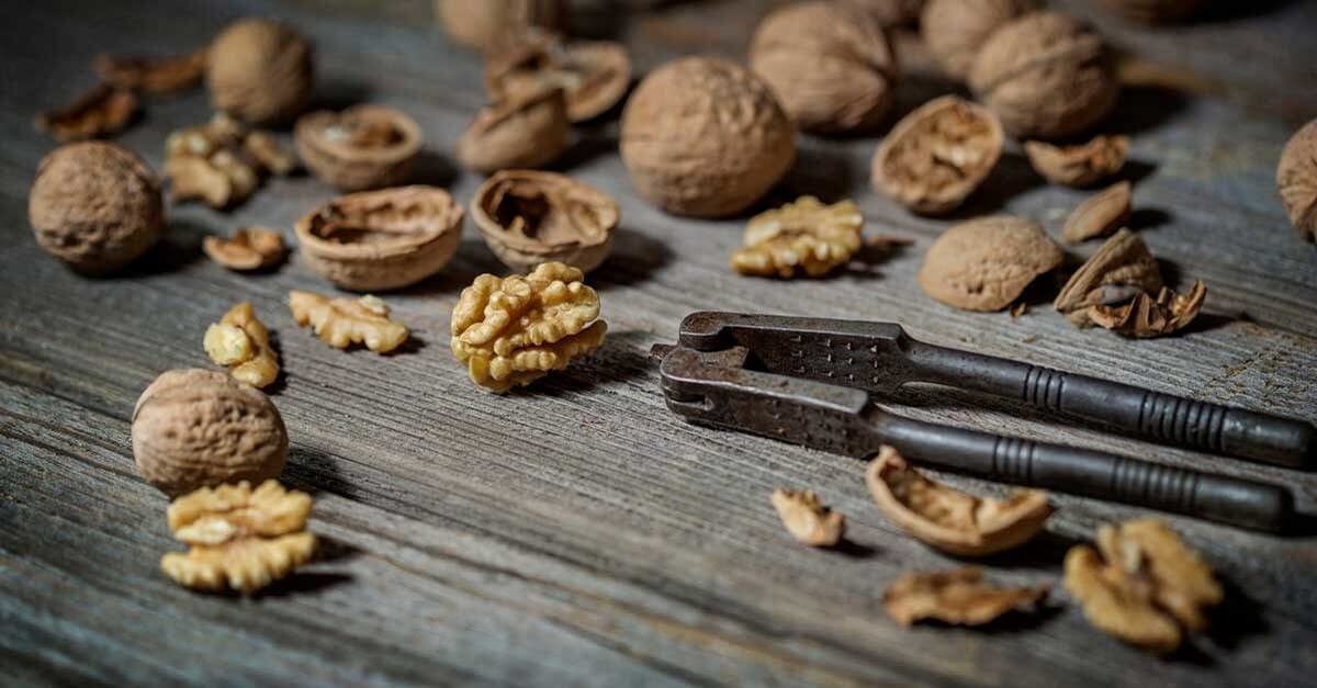 Eating walnuts beneficial