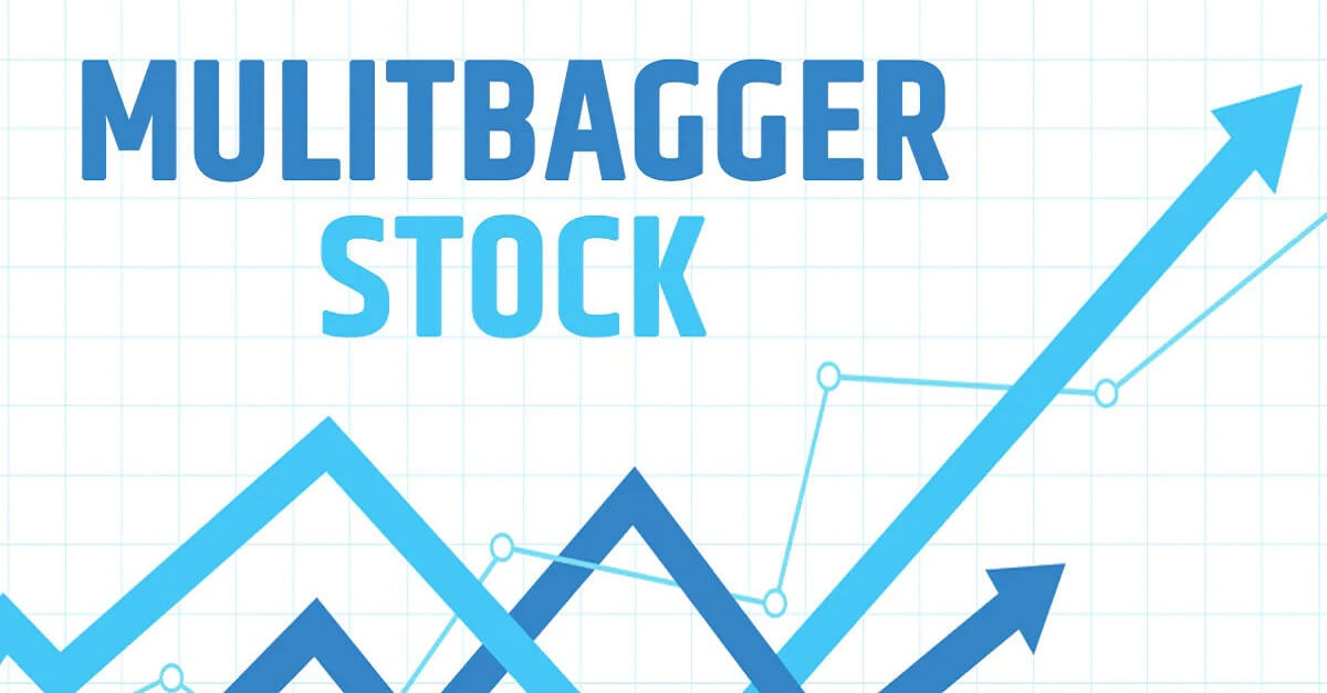 What Is Multibagger Stocks