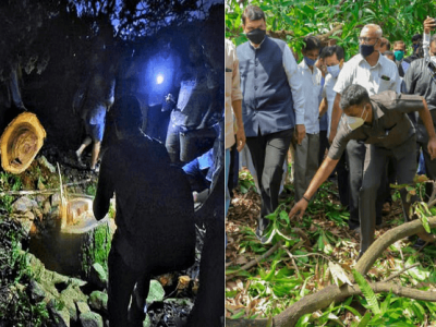 रात्रीच्या अंधारात आरेतील झाडे तोडणारे कोकणात जाऊन झाडांची चिंता व्यक्त करत आहेत – आ. भाई जगताप