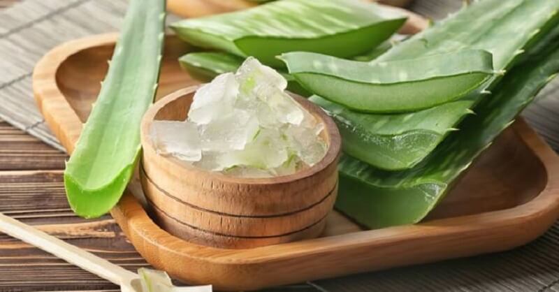  Aloe Vera beneficial for Weight Loss
