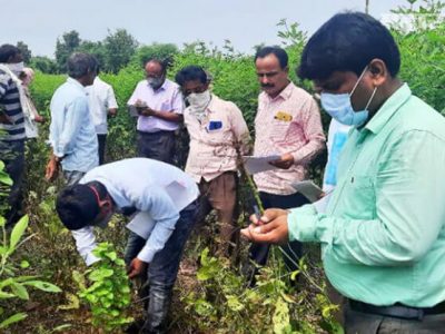 पावसाच्या तडाख्याने शेतकऱ्यांचं प्रचंड नुकसान | सरकारकडून आढावा