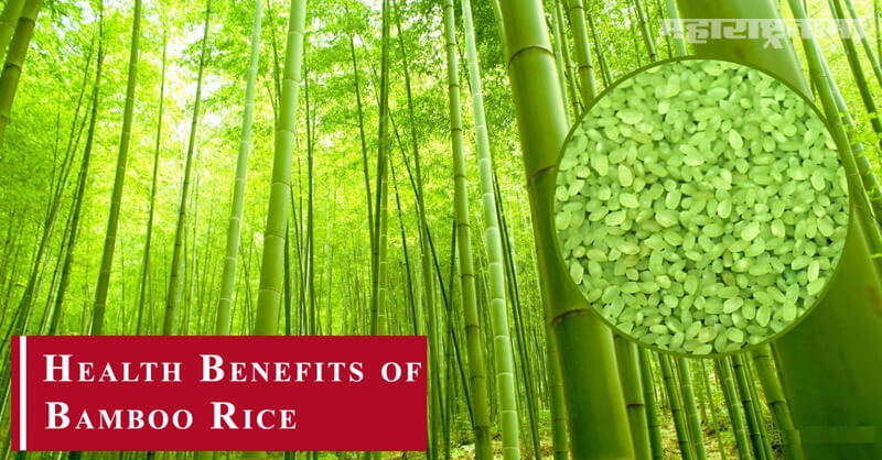 Bamboo Rice, Health benefits, Health article
